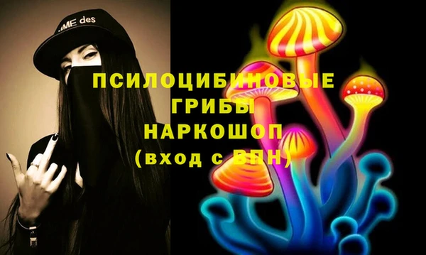 индика Кукмор