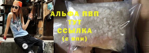 индика Кукмор
