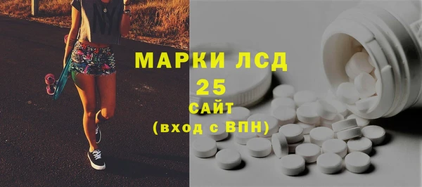 индика Кукмор