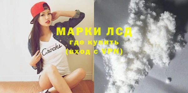 индика Кукмор
