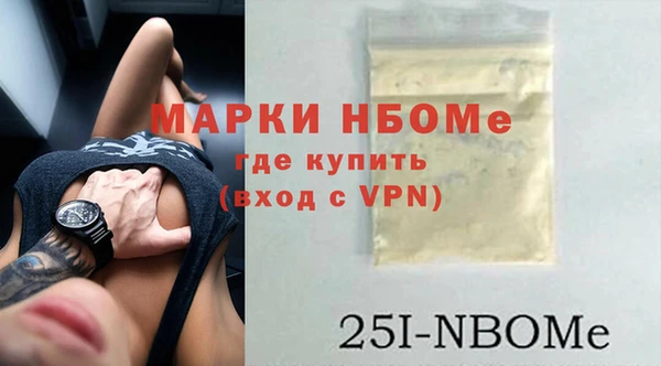 индика Кукмор
