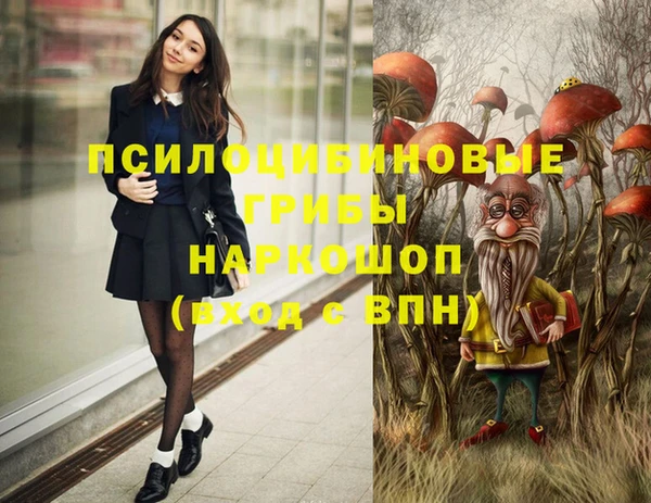 дмт Кулебаки