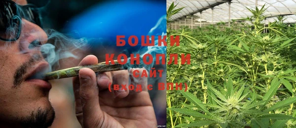 индика Кукмор