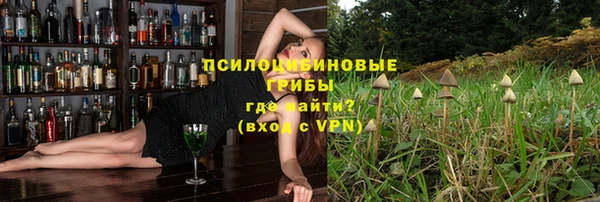 индика Кукмор