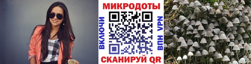 Псилоцибиновые грибы Magic Shrooms MEGA вход Невьянск